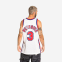 Mitchell & Ness NBA Jersey Nets Drazen Petrovic #03  ´92 Swingman Jersey