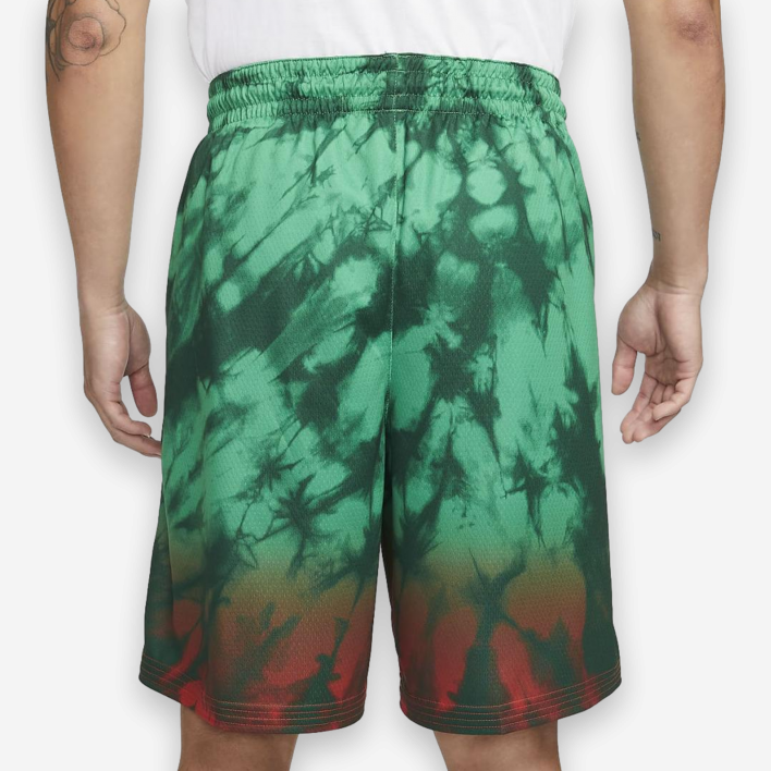 Nike Lithuania Team Shorts Limited Edition 1