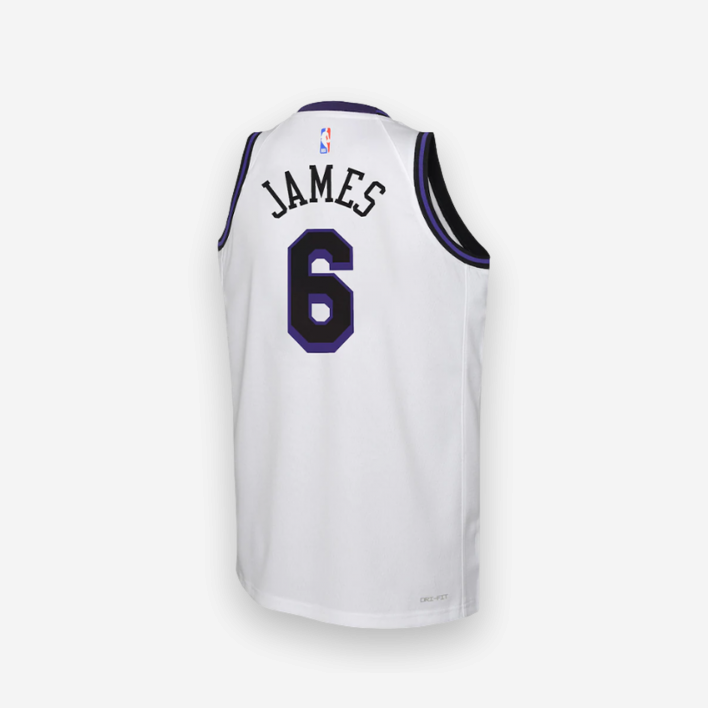 Nike NBA Los Angeles Lakers LeBron James Swingman Kids 1