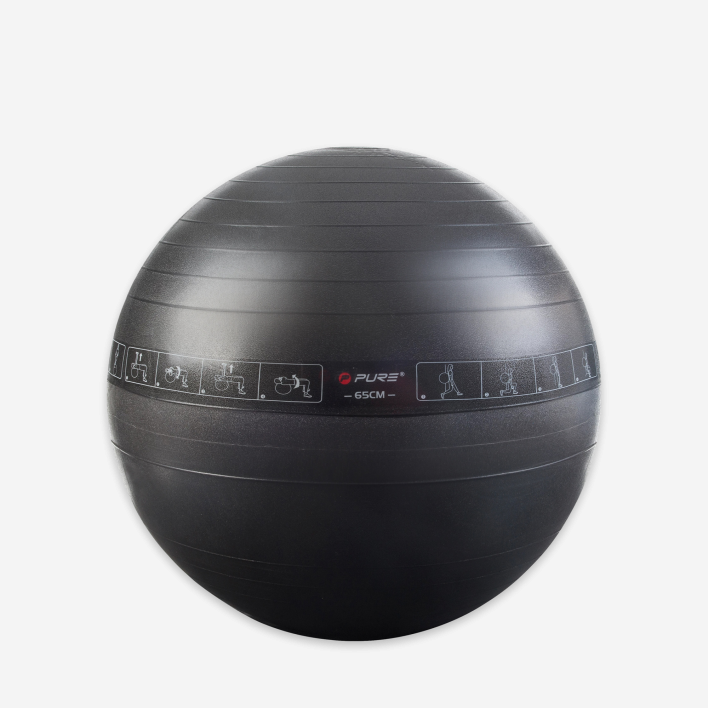Pure Gym Ball 65cm