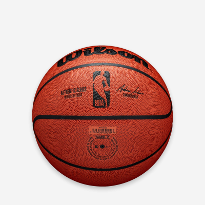 Wilson NBA Authentic Indoor/Outdoor 4
