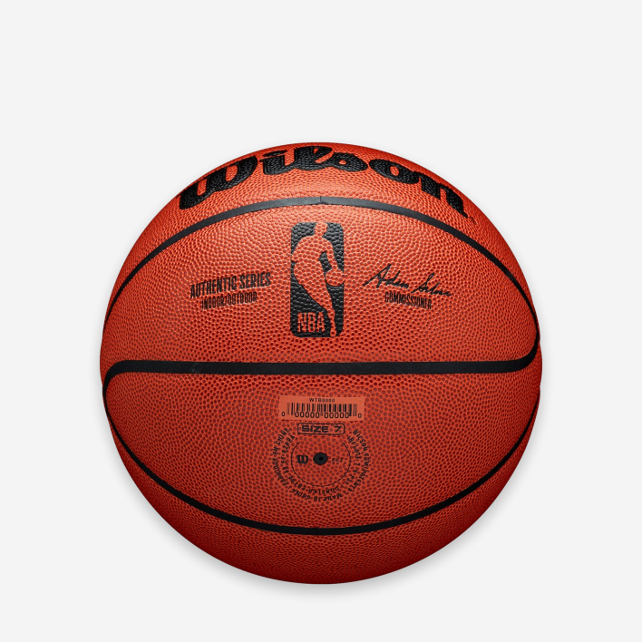 Wilson NBA Authentic Indoor/Outdoor 3